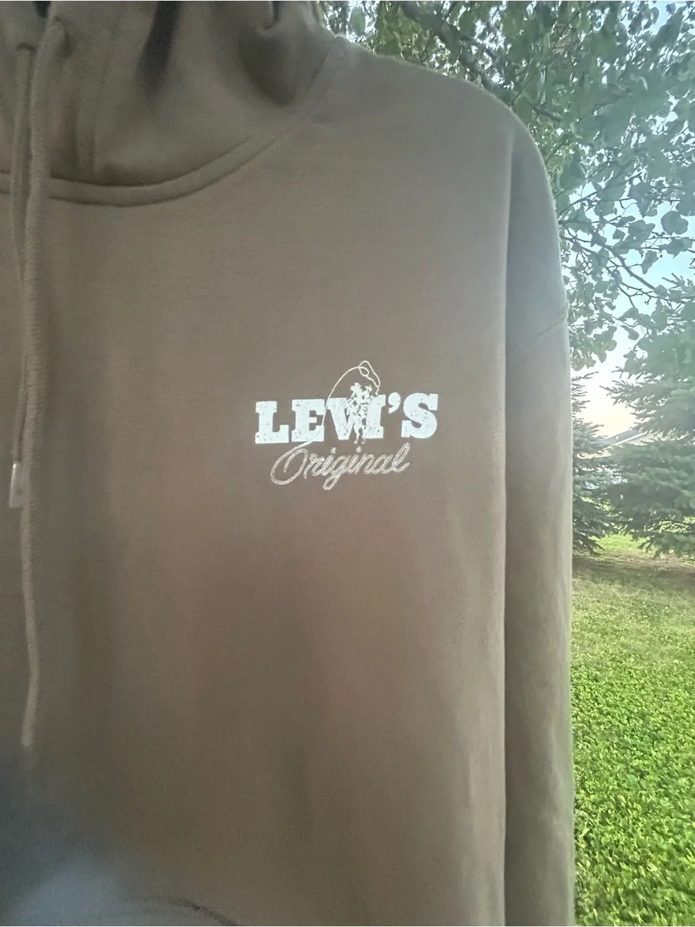 Levi's Men's Pullover Hoodie